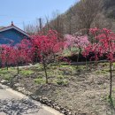 우산리마을회관 이미지