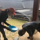 금잔디상회 | [20170923] 가을맞이 계룡산 3사5+1봉 ::: 처음 알현한 통천문+쌀개봉