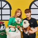 피즈스튜디오 이미지