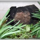 순이네집 이미지