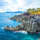 고대1105 이미지