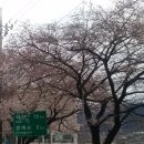 개화펜션 이미지