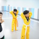 다온키즈태권도장 이미지