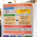 라인카서비스 | 일본 후쿠오카 렌트카 자유여행 추천 하이하이렌터카 비용 후기