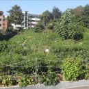 묵현11리 이미지