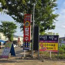 무창포칼국수