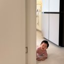 도란도란 북 플레이(5~9개월) | 9개월 아기 발달 특징 | 발달을 위한 놀이 &amp; 추천 장난감 5가지