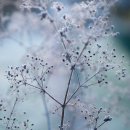 센트럴타운 이미지