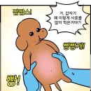 뽑기의 신(영월터미널점) | 🇯🇵 나홀로니뽄 | FUKUOKA 🍜🍣🍙🍥🥟🍡🍛