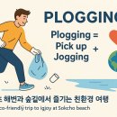 조양펜션 | [속초 플로깅 1박2일 완벽 플랜] – 환경도 여행도 모두 챙기자!