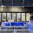 낙산바다이야기 이미지