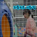 리틀치프 시화점 이미지