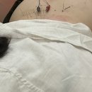 저지리 경로당 | [내돈내산] 제주 침 잘 놓는 저지한의원 (+체질 진단/광고x)