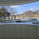 원두댕댕이 이미지