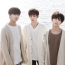 더로즈