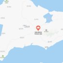 매일아침 강화 교동도 수제 한과 알아보기