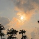 블루스프링리조트 | 이시가키 후사키 리조트 부대시설 | 야외수영장 | 류큐신천지 레스토랑 | 리조트 기념품샵