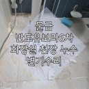 반도특수가스 | 물금 양산 반도유보라6차 변기금 아랫집 화장실 천장 누수