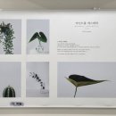예쁨스킨앤바디