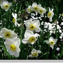 대한항공정우회 이미지