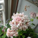 늘건강내과이비인후과의원 이미지