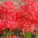 현대자동차 연지점 이미지