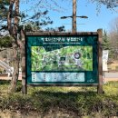 방화근린공원 관리사무소 | 방화근린공원, 강서구 벚꽃 (주차)