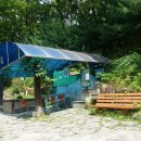 도암샘(생성) 이미지