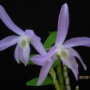 무명농장 이미지