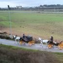 포동빗물배수펌프장 | 🏔️12월 스페인 여행4🏔️론다 멋지다