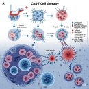 For Car | CAR-T 세포 치료의 모든 것: 1편
