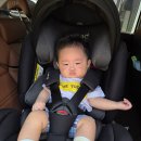 [무안 여행] 시골 정 가득한 일로 5일장 먹거리 투어 &amp; 일로농협 하나로마트 장보기
