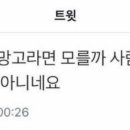 르미앙 이미지