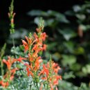 제주스테이머들 감성자쿠지펜션 이미지