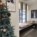 행복한한약국 이미지