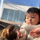 강릉고 입구(버스정류장) | 강릉 순두부 맛집 강릉짬뽕순두부 동화가든 본점 이유 있는 맛집