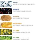 지마스크 이미지