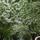 백곡천3 이미지