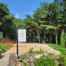 펜션MAY23 | 합천단체펜션 MAY23, 달빛채 독채펜션, 경남 계곡 인근 숙소 8인 숙박 후기