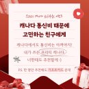 팀홀튼 $5 기프트카드 고.객.전.원.증정!!! 프리티 캐나다 친구추천 이벤트💌 이미지