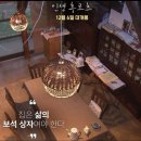 도시고양이생존연구소 이미지