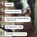 드디어 나도 먹어본 요아정 뜻 후기 꿀조합 5억정식및 레시피(요아점 광교상현점) 솔직후기