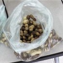 서예교실 (B) 이미지