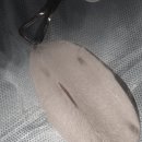 미사 센트럴 동물병원 이미지