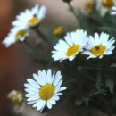 상신산업 이미지