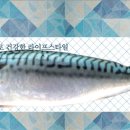 더피쉬디자인