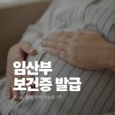 김해시교육청 | 김해 임산부보건증 발급, 엑스레이 촬영 없이 발급한 후기