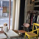dog's 애견샵 이미지