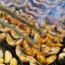 풍천가 서초 | [청계산 풍천가 장어집] 노릇하게 구운 장어와 마늘향 가득한 보양 한 끼