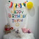 반려동물 수제간식 태식당 이미지